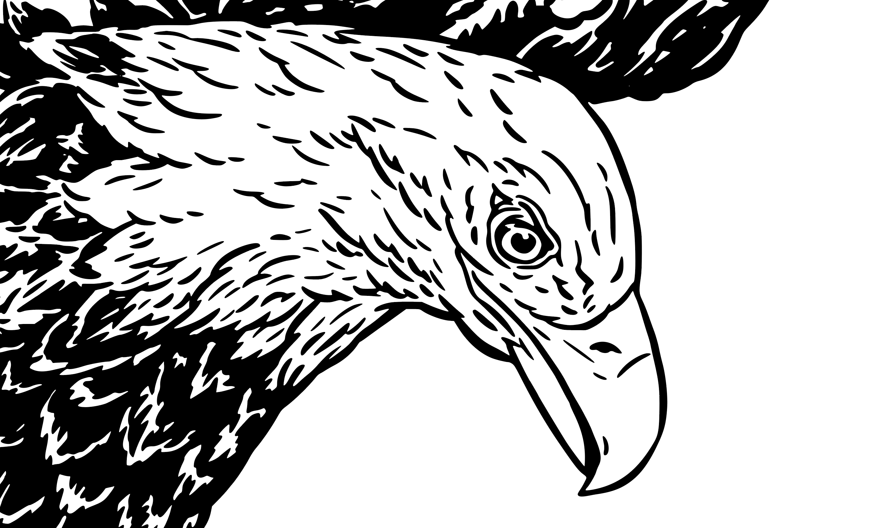 After — vector trace