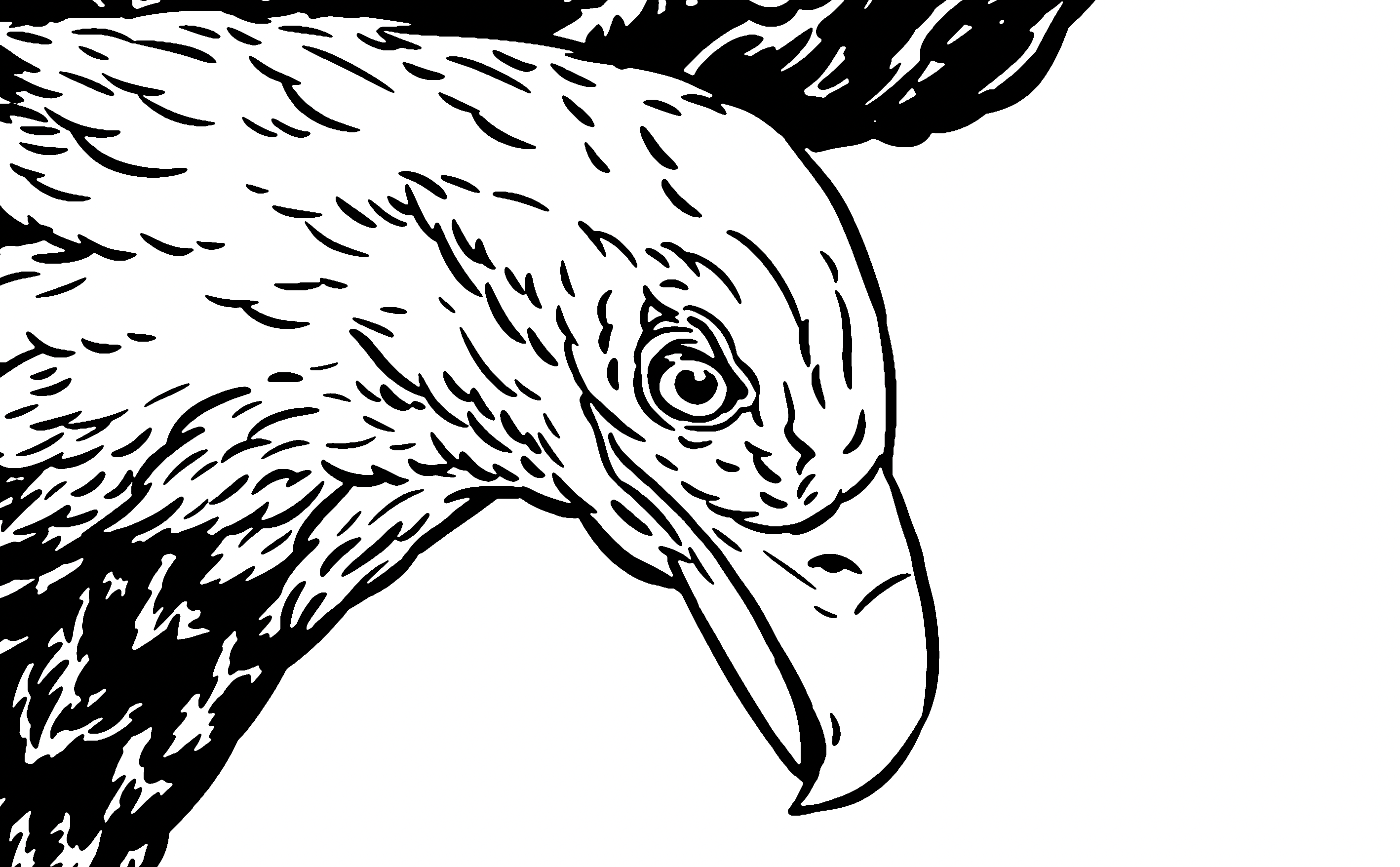 Before — raster original